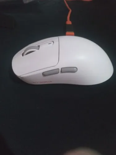Mouse