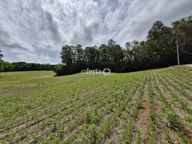 Chácara em Araucária / Campina das Palmeiras