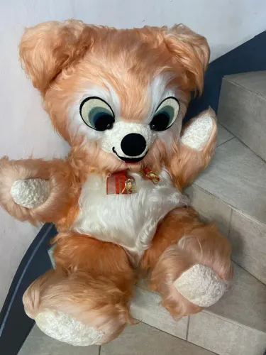 Urso fofo