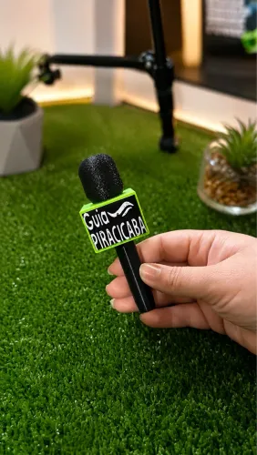 Mini microfone