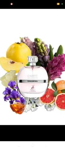 Perfume chants tenderina árabe feminino