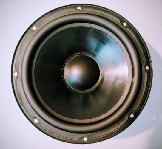 Alto Falante Roland Monitor DS90