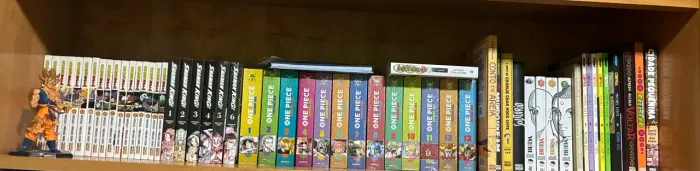 Mangas diversos