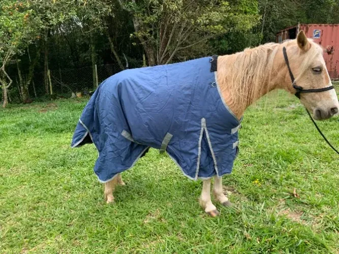 Capa para Cavalo Indiana Ranch Importada Azul-Marinho Porte Grande - Usada 5 Vezes