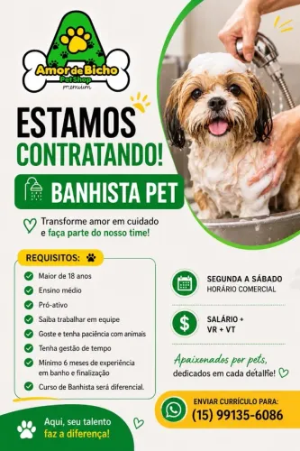 Banhista Pet c/ experiência