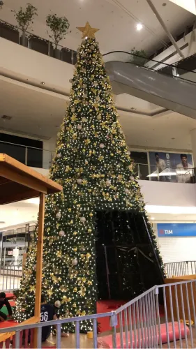 ÁRVORE DE NATAL - 8m de altura