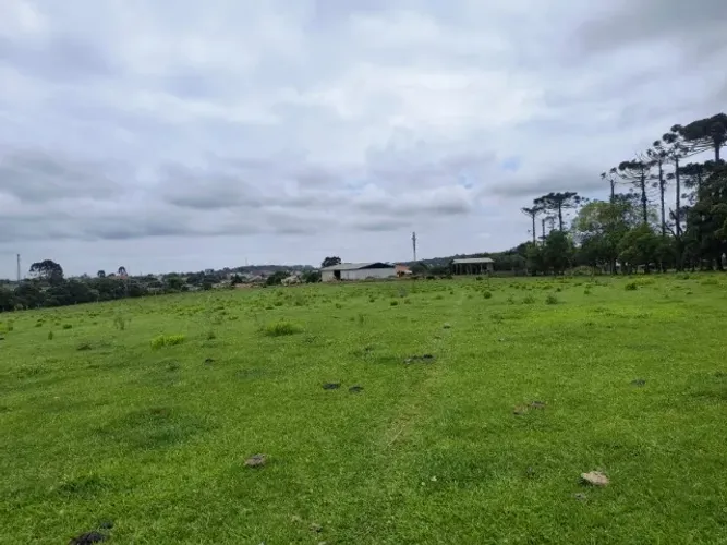 Area Urbana, 48000 m2 Papanduva SC