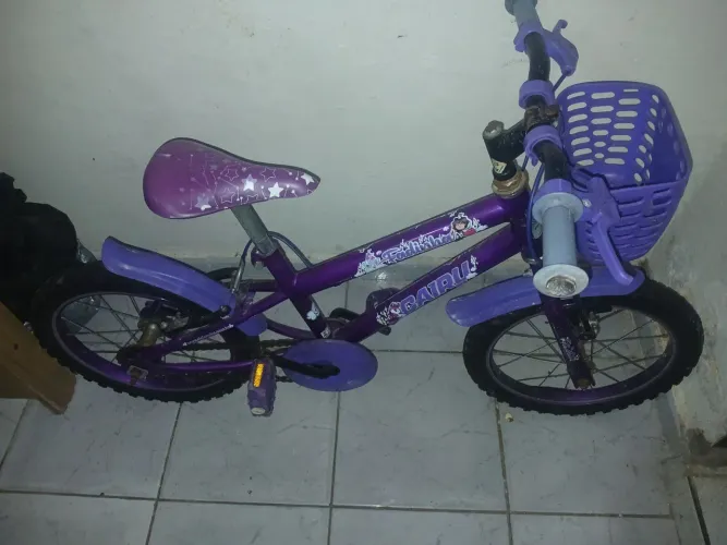 Vendo uma bicicleta arro 16 valor 250