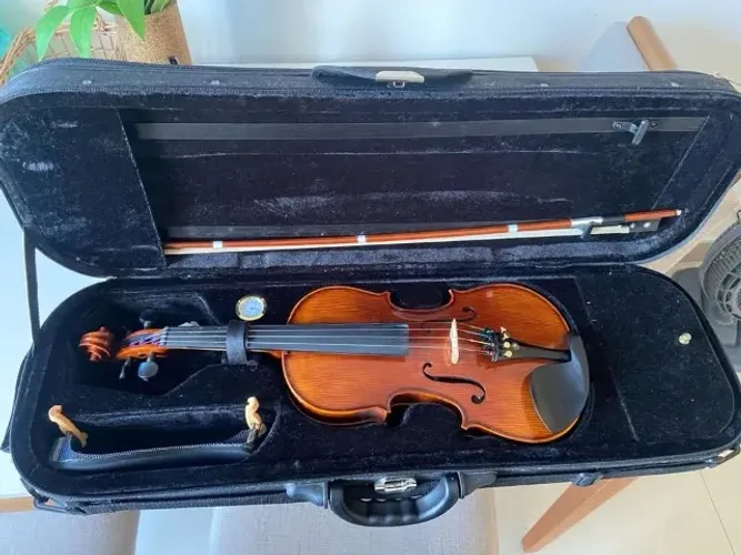 Violino Eagle Vk 544 4/4 - Perfeito Estado! 3 meses de uso