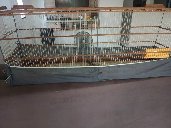 Gaiola voador