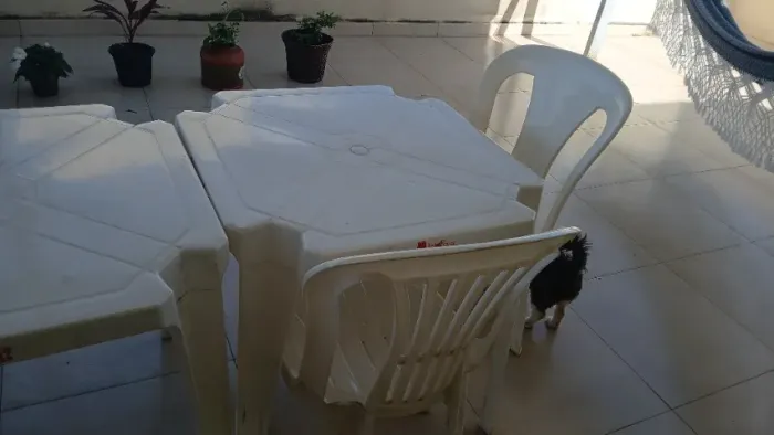 Mesa com 4 cadeiras