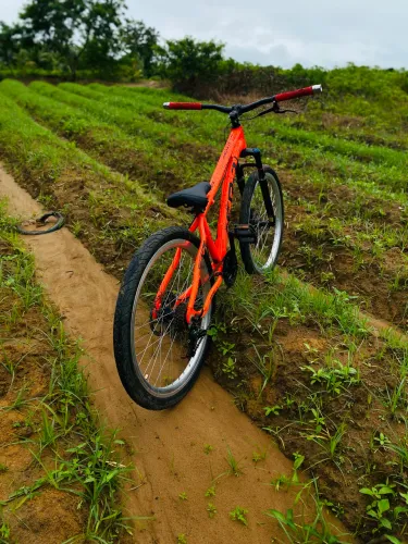 Vende-se bike