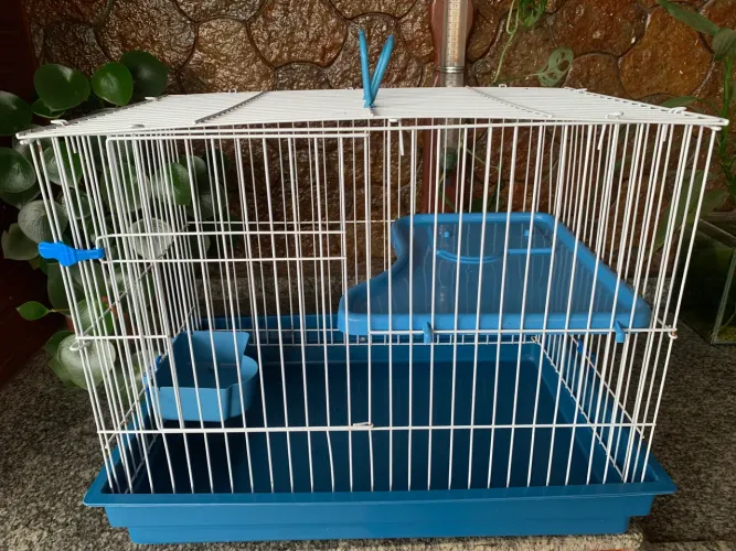 Gaiola para roedores 
