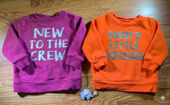 Blusas de moletom Garanimals tamanho 12 meses importadas (Desapego)
