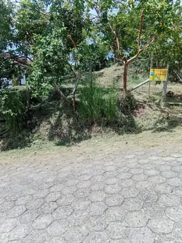 Imóvel para venda tem 402 metros quadrados em Termas do Gravatal - Gravatal - SC