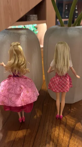 Lote Barbie Escola De Princesas