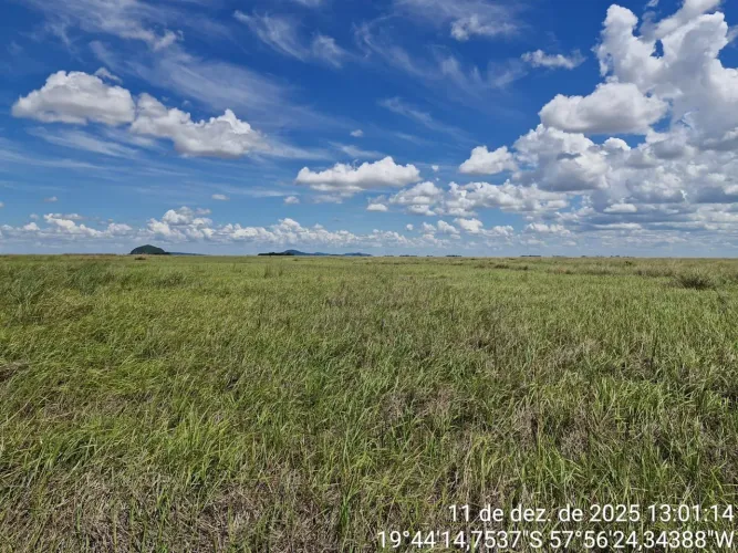 Fazenda de arrendamento pra Gado,10% da @boi, ou venda 7.000 o hec