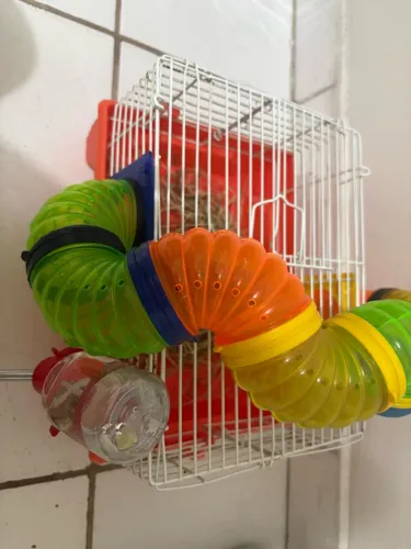 Gaiola hamster