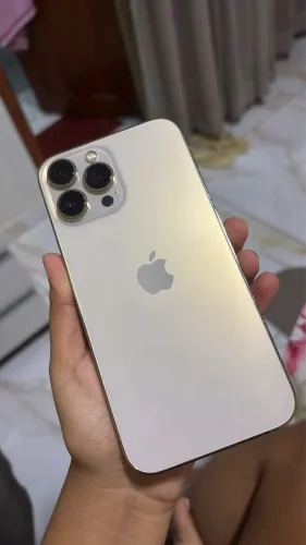 Iphone 13 pro max 128g