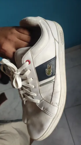 Tênis Lacoste original 