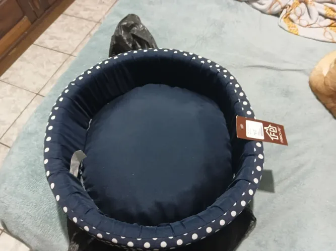 Caminha pra cachorro 