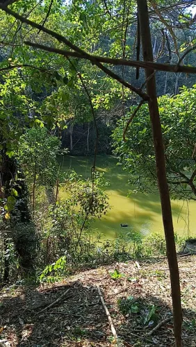 Terreno na beira do lago bom pra construir chalés