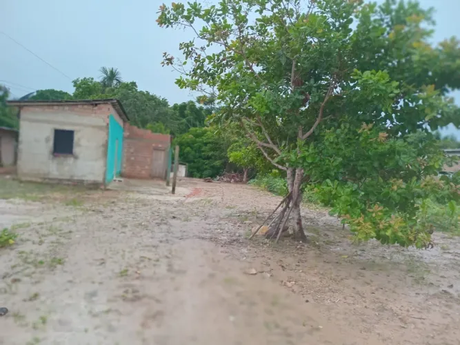 Amajari 
