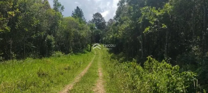 AR0003 Lote/Terreno - Chácara Rincão, Cotia