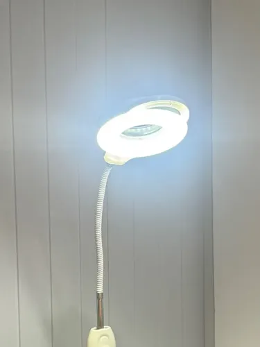 Ring light