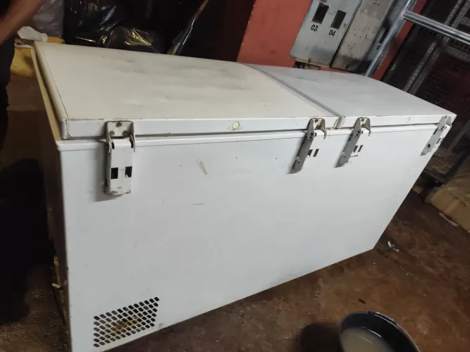 Freezer gelopar