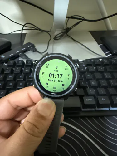 Garmin 245