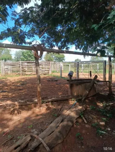  FAZENDA À VENDA AS MARGEM DO RIO PACUI -  | REGIAO  CORAÇÃO DE JESUS - MG