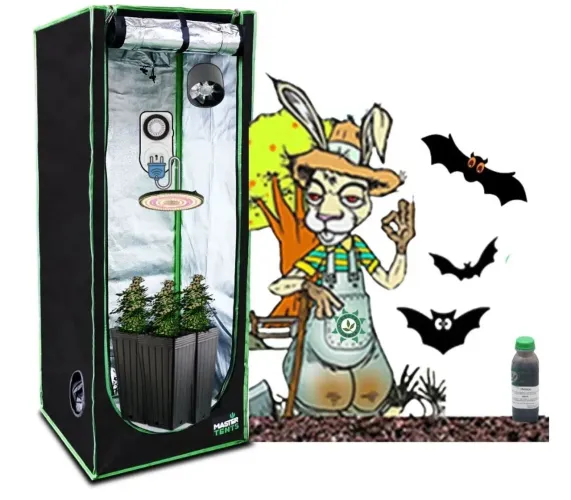 Kit Cultivo Indoor estufa hortifrutas