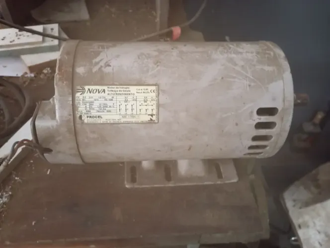 Motor trifasico