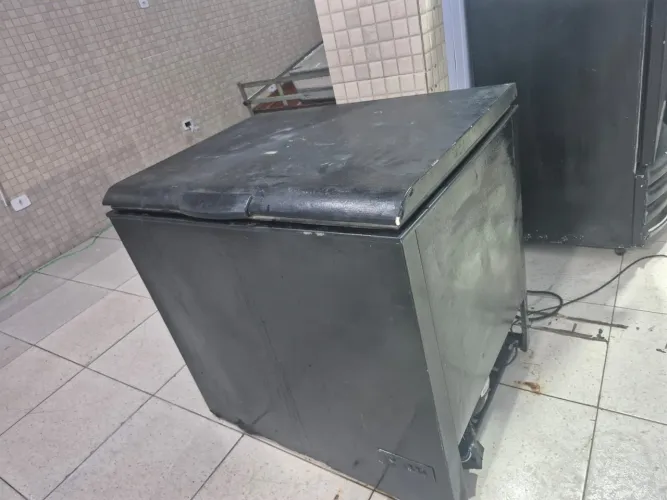 Freezer 127v perfeito ligado ja vai com sacos de gelo 1200.00