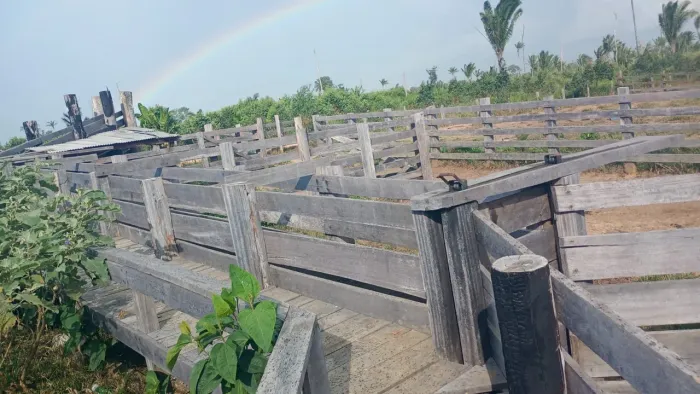 Vende-se 78 alqueire de terra boa