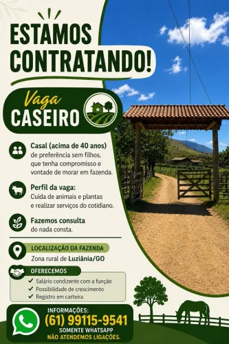 Vaga de emprego!!!!!!