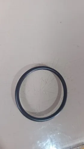 Anel de vedação gaxeta