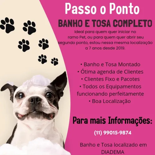 PASSO O PONTO BANHO E TOSA