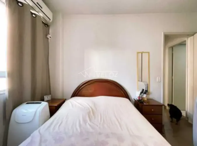 Apartamento - / Residencial / Botafogo