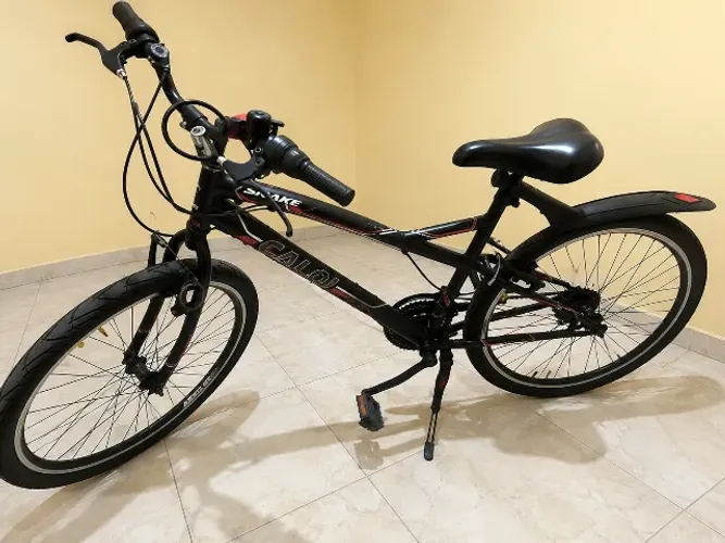 Bicicleta
