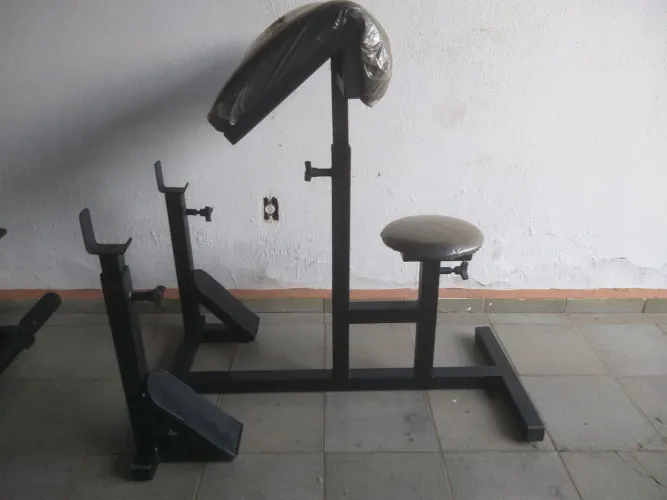 Musculação bíceps