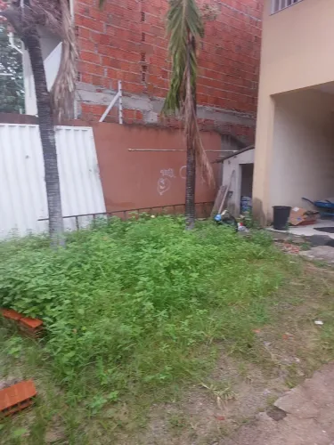 Portão de correr de ferro