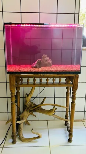 AQUÁRIO DE 100 LITROS/ VALOR NÃO NEGOCIÁVEL/ SOMENTE VENDA