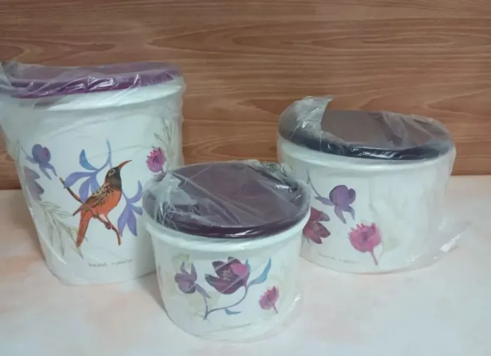 Tupperware kit com 3 peças botânica aquarela.