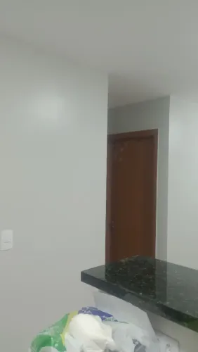 Pintor profissional 