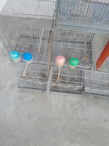 Vende-se gaiolas criadeira para desapega valor total 400 reais