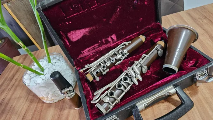 Clarinete Parrot com estojo rígido