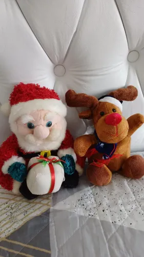 Urso Natal
