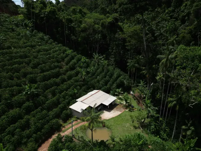 Sitio com mata e riacho